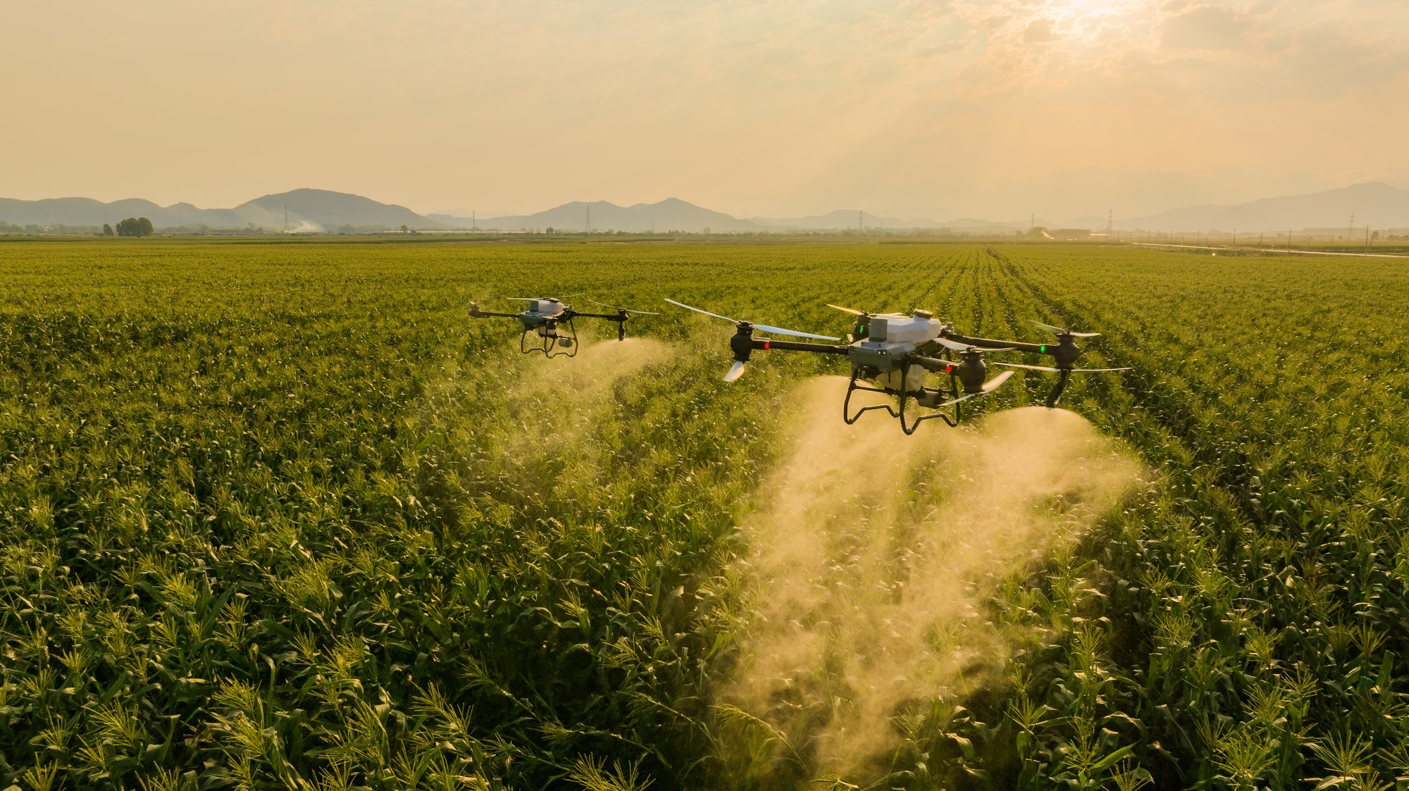 DJI_20240304080113_0054_D